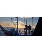 Servo Pendulum Self Steering