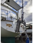 Servo Pendulum Self Steering