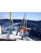 Timone a vento " Servo-pendolo"